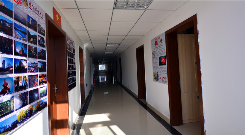 8ffcdba18fa22acbe62eabb9556d8766