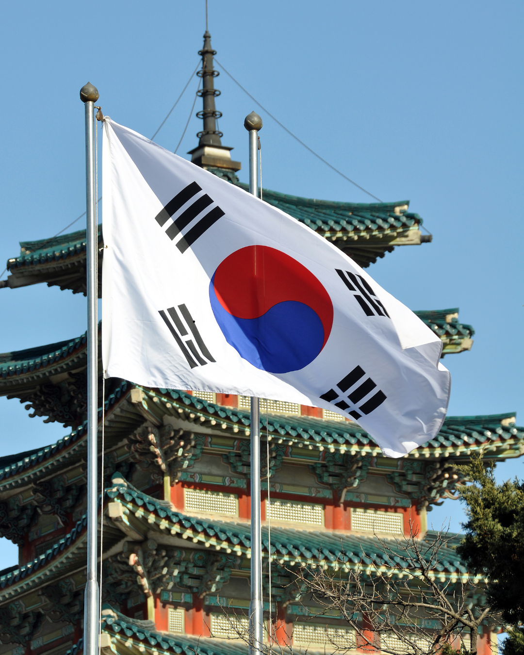 IMAGEN KOREA - POSGRADOS